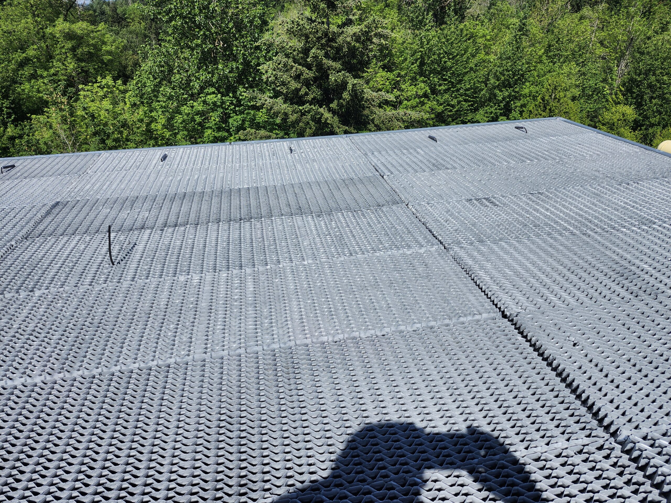 Metal corrugated roof tiles seen from above with a dense green forest in the background.