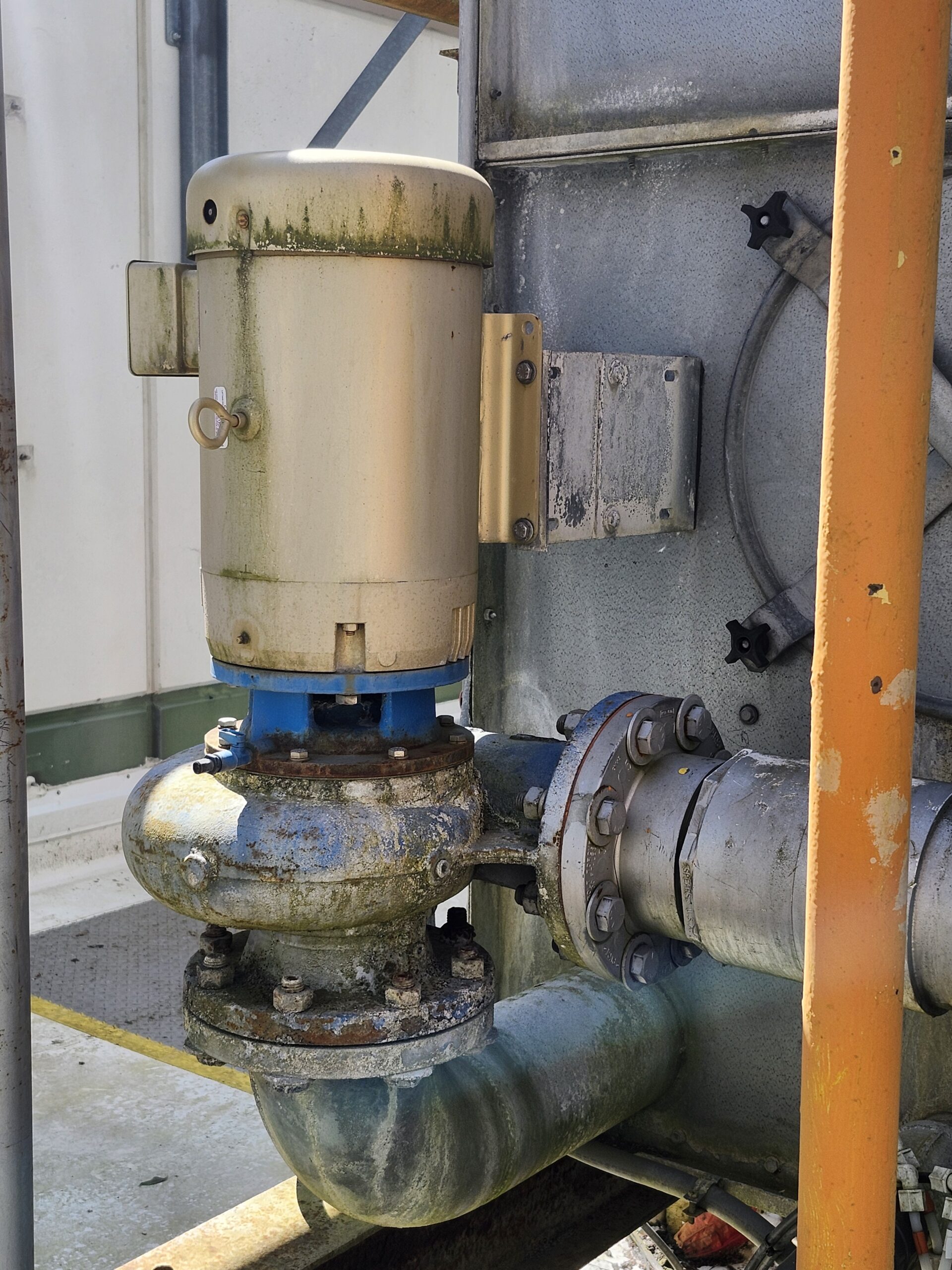 Industrial pump and valve assembly on a weathered outdoor platform, showing rust and moss growth on the equipment.